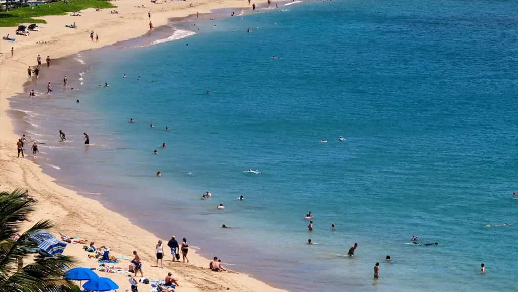 Best Snorkeling Beach in Maui for Beginners