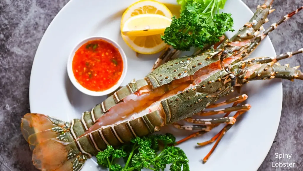 Maui Food Guide - Spiny Lobster dish