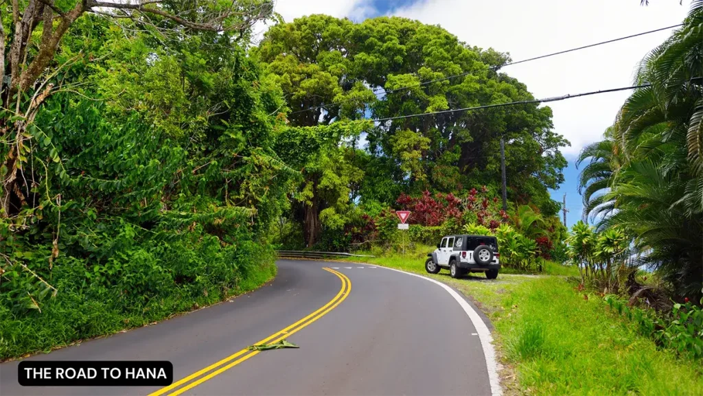 the road to hana maui - Maui day trips