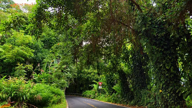 Creating Your Stops on the road to Hana Itinerary