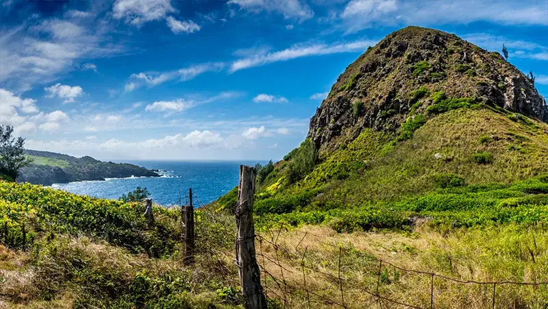 activities on the way to hana