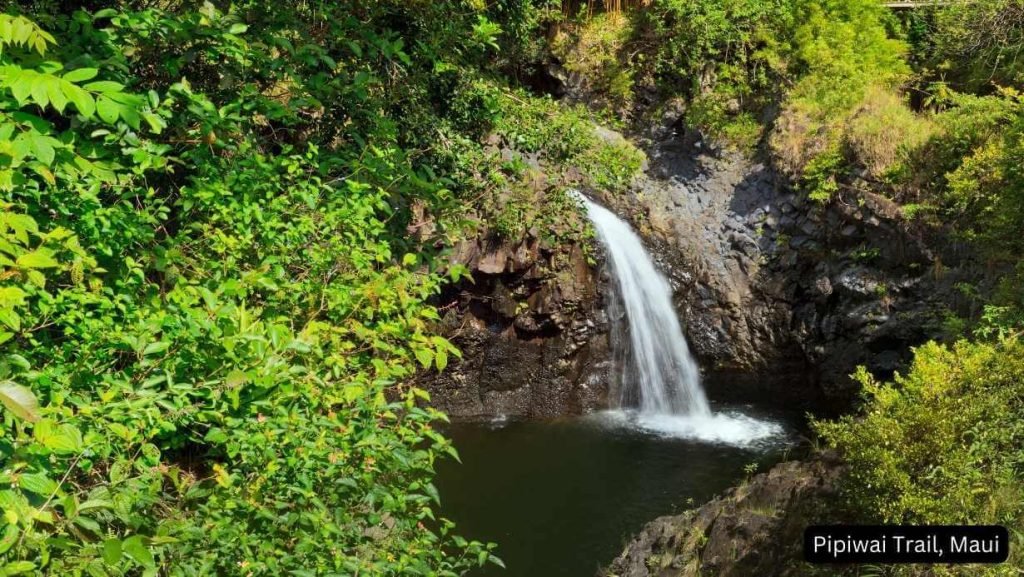 Pipiwai Trail, Maui Trail